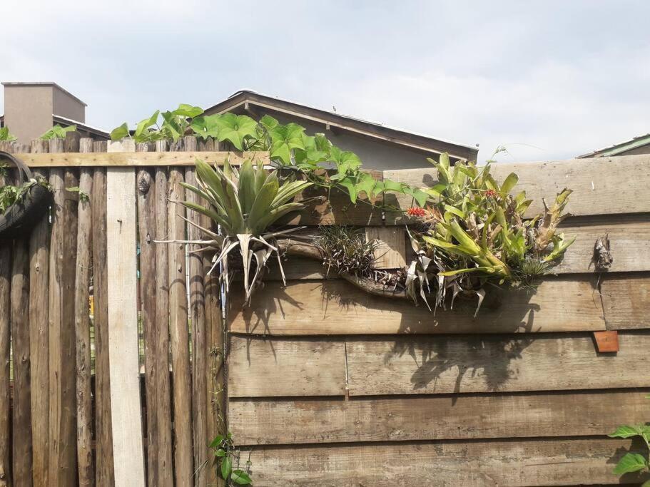 Casa Proximo A Praias, Trilhas E Cachoeiras. Garopaba Exteriör bild