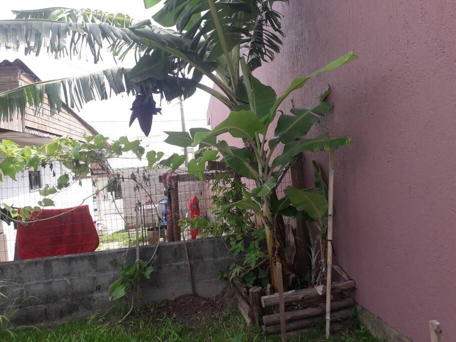 Casa Proximo A Praias, Trilhas E Cachoeiras. Garopaba Exteriör bild