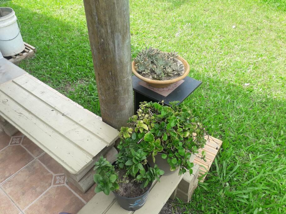 Casa Proximo A Praias, Trilhas E Cachoeiras. Garopaba Exteriör bild
