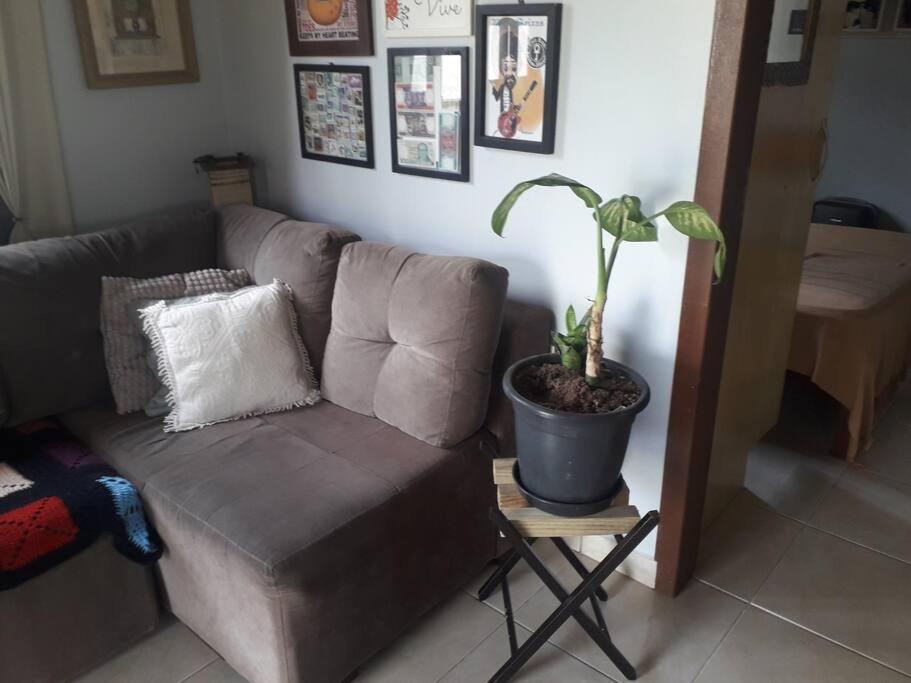 Casa Proximo A Praias, Trilhas E Cachoeiras. Garopaba Exteriör bild